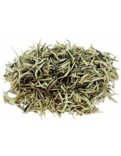 Chá Branco agulhas de prata